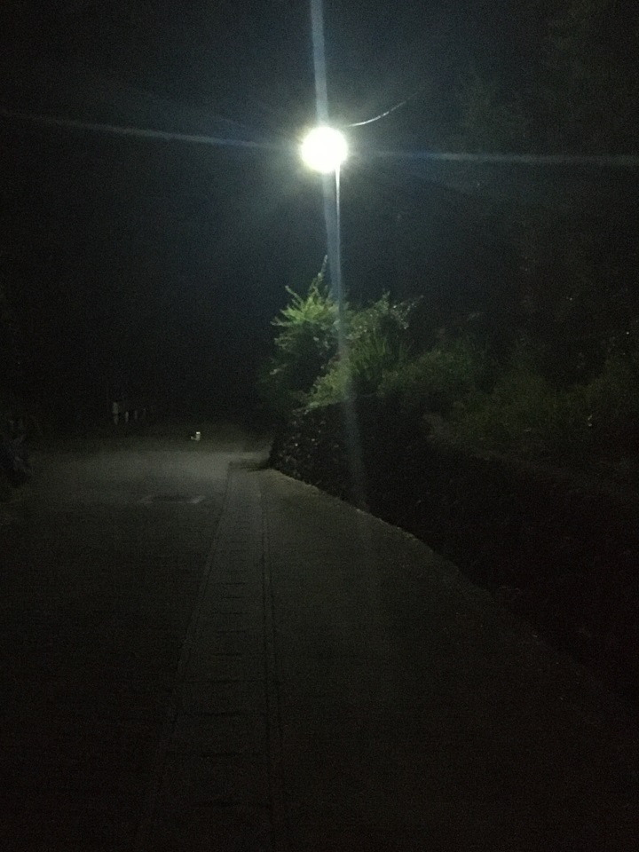 夜の山道