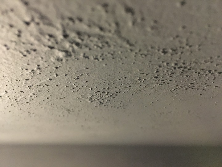 ザラザラベース塗装後の天井