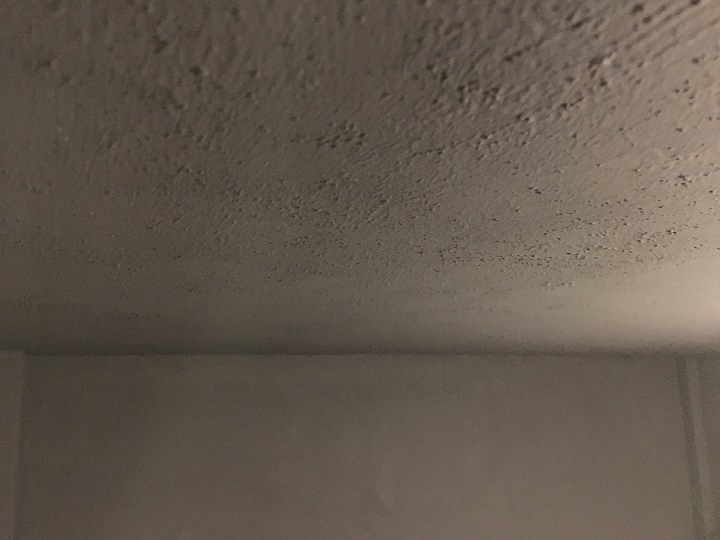 珪藻土塗料で仕上げた壁と天井