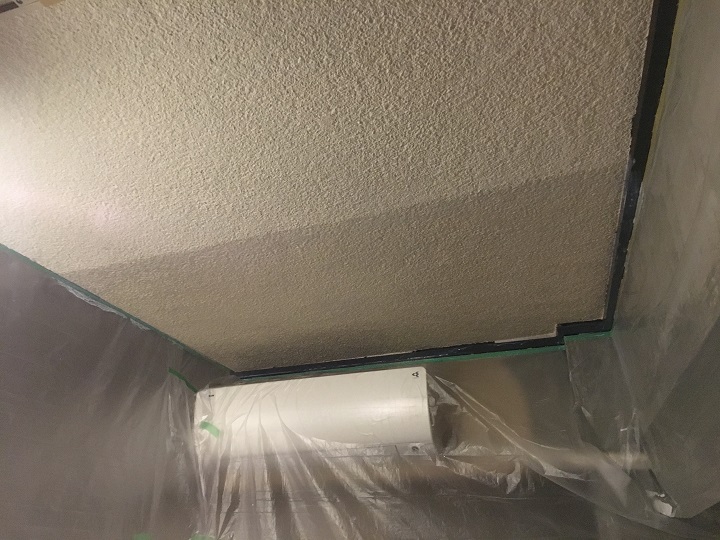 シーラーを塗った天井