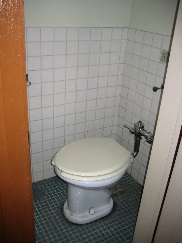 フラッシュバルブ式のトイレ