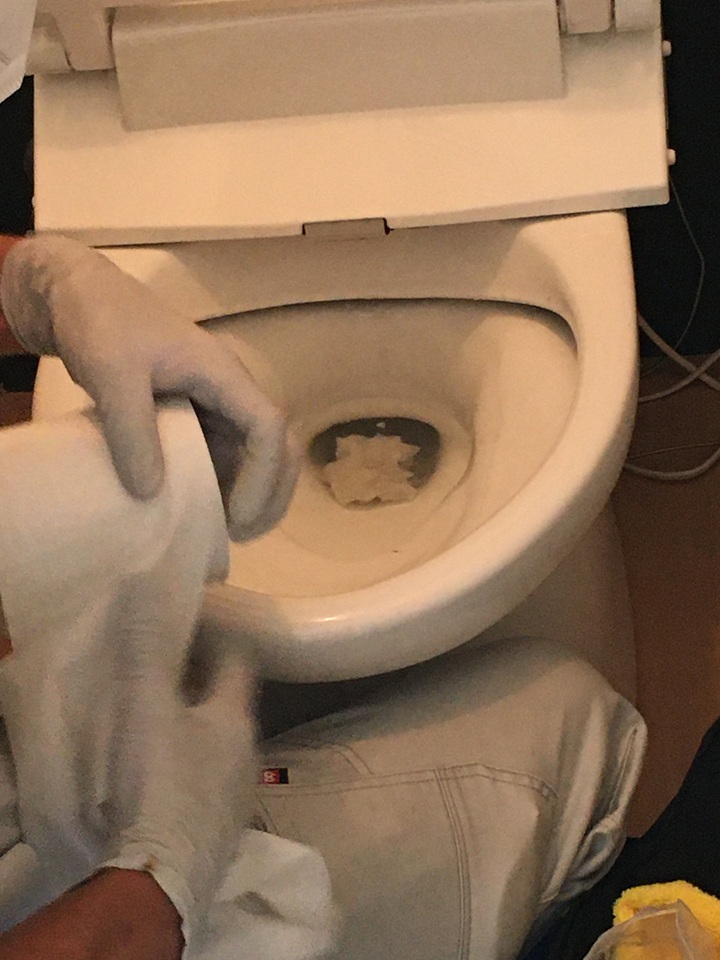 トイレ点検作業