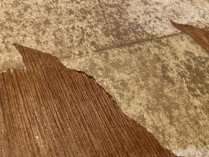 濡らしたふすま紙