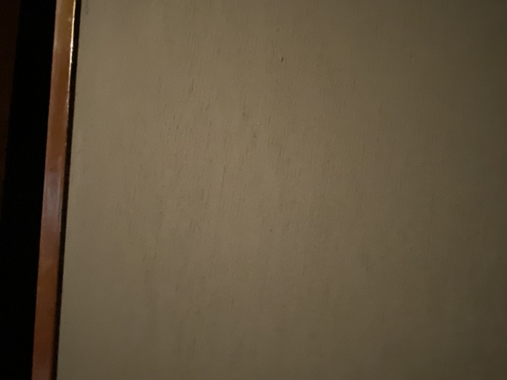 塗装後のふすまの表面