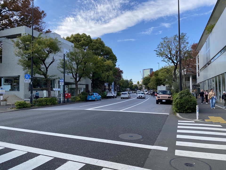 旧山手通りとヒルサイドテラス