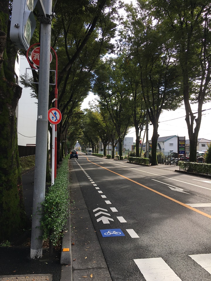 武蔵境の並木道
