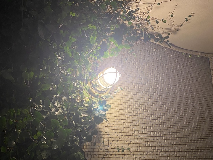 エントランスの照明