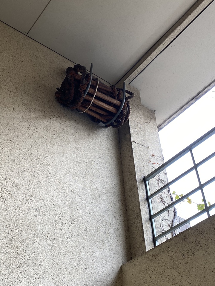 縄ばしご