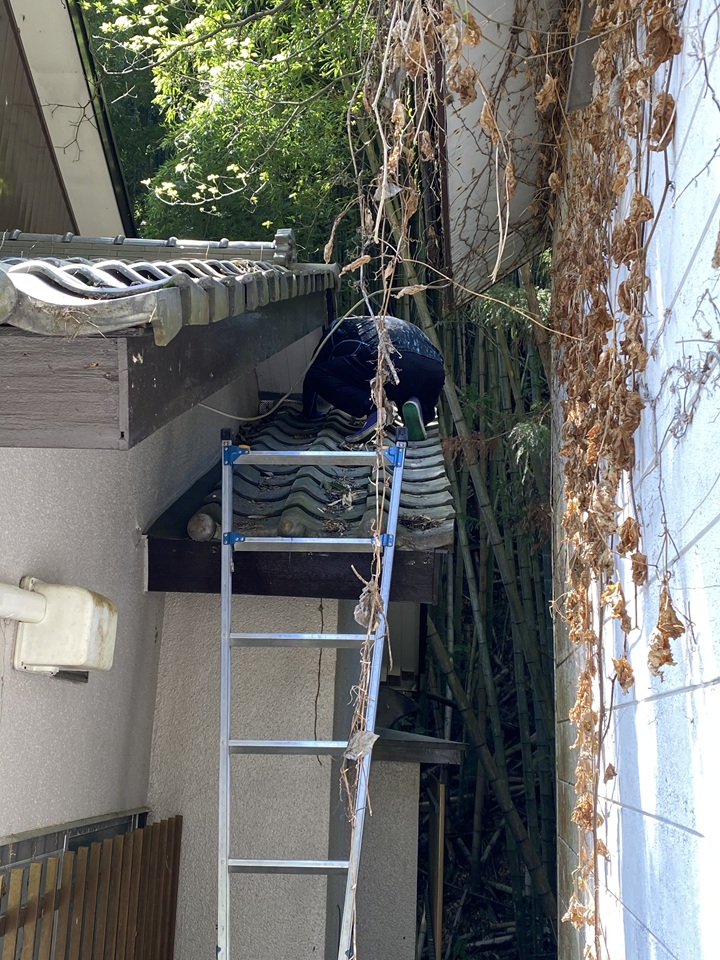 屋根の上での作業