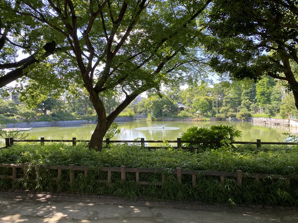 碑文谷公園