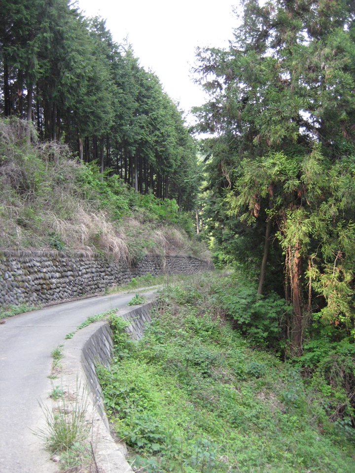 山道