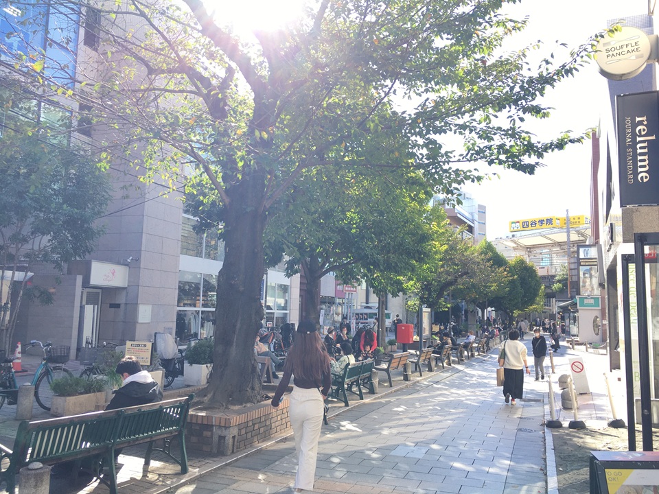 九品仏川緑道